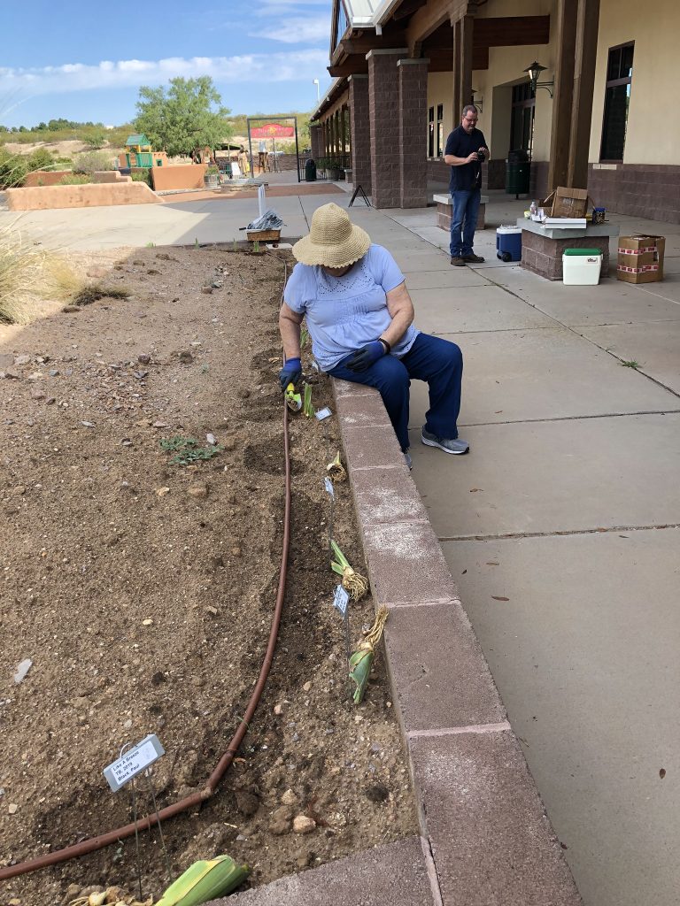 Above ground beds at the Farm and Ranch Museum, August, 2019